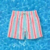 Men's Drawstring Leisure Striped Swim Shorts(Mens Drawstring Leisure Striped Swim Shorts)